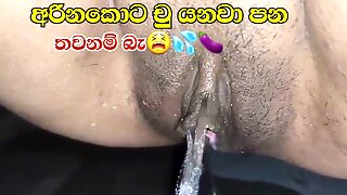 Sri Lankan Sex Videos