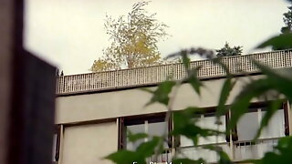 Classic French Vintage