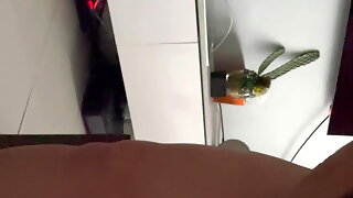 Milf Bad Dragon Dildo
