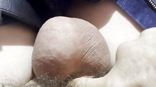 Inverted Penis