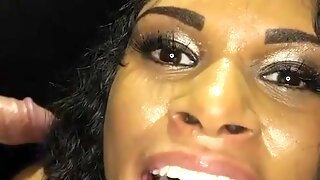 Asian Swallow Comp
