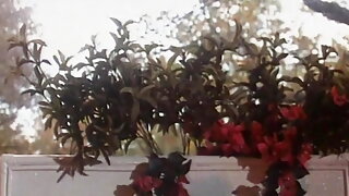 Christoph Clark Angelica