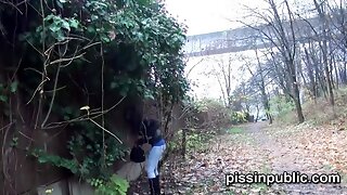 Pissen Zusammenstellung Öffentlichentlich