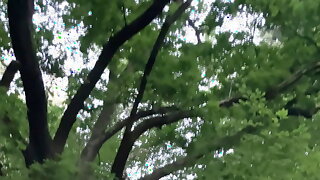 Gay Foret
