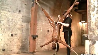 Bdsm Upside Down
