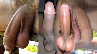 Soft to Hard Penis Erection