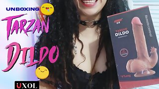 Un Vibromasseur À Distance, Sex Toy Télécommande
