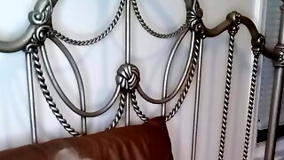 Granny Video Chat, Momma Vee, Perfect Tits Granny, Granny Big Tits Webcam