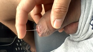 Gay Maturi, Cartoni Gay