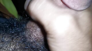 Vieux Gay Avale