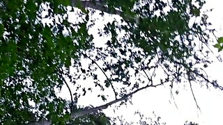 In De Bossen, Betrapt Door Vreemde, Mama Betrapt