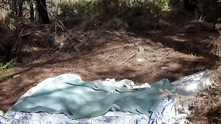 Forêt Francaise Voyeurs