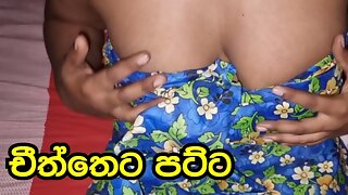 Sri Lankan Villange Girl Cheeththa Wearing Sex