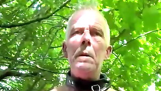 In The Woods Gay