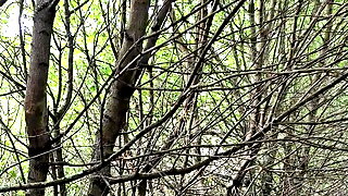 Forest Bondage