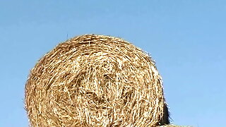 Im Stroh, Farmer Girl