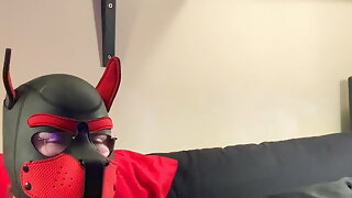 Gay Vieux Xhamster