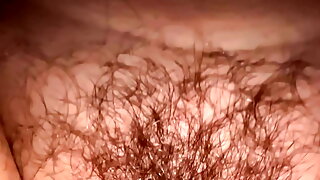 Closeup Wet Hairy Pussy