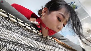 Chinese Bondage Bdsm, Chinese Spanking, Asian Spanking, Asian Prügelstrafe