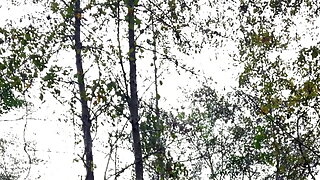 Gay Nel Bosco