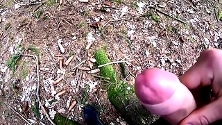 Gay Nel Bosco