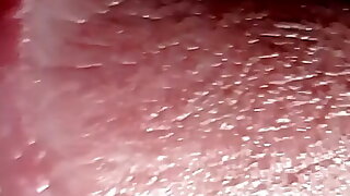  boy masturbation 