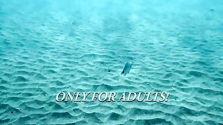 Underwater Public Pool