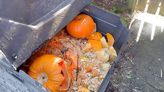 Mature Outdoor Vegetable