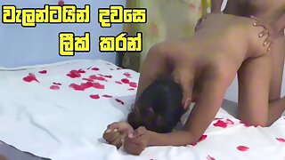 වැලන්ටයින් සැමරුම - Step Sisters Big Ass Filled with my cum Valentines Day - Sri Lanka