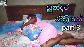 Sri Lankan - Husband and Wife Romantic Fuck - Real Sex Tape -part 1