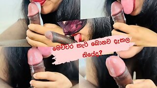 Sri lankan beautiful Nathasha doing sloppy blowjob