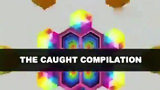 People caught having sex compilation