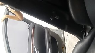 Car Blow Job