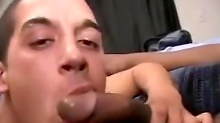 Gay Sucking Black Cock