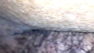 BBC QUICKIE IN SEXY HAIRY LATINA BBW