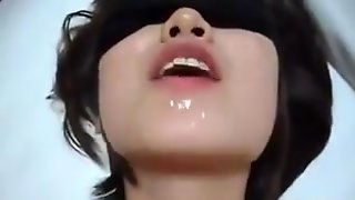 Korean Swallow