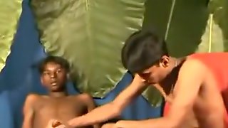 Two Young Men From Sri Lanka Have Sex