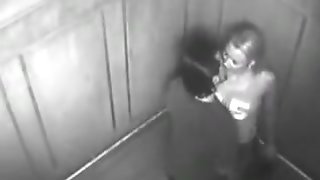Security Camera Caught Exhibitionist Couple Fucking in Elevator