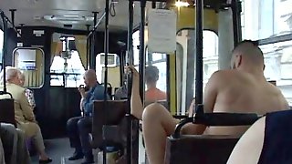 Bus