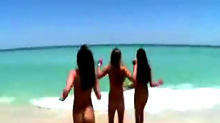 Lesbian Beach Sex