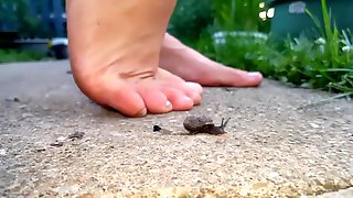 Barefoot snail crush