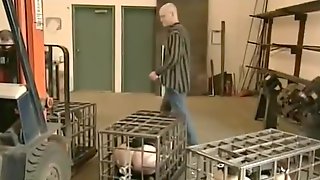 Cage Bdsm, Cage Bondage