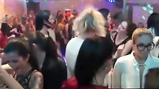 Spicy At Party