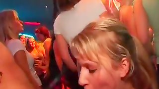 Yong girls in club are glad to fuck