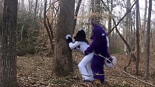 Furry Yiff (Fursuit)