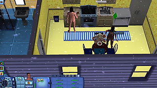 The Sims 3 video test