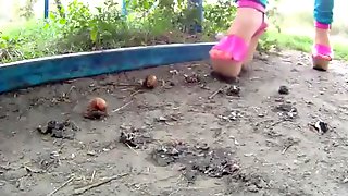 Snail crush