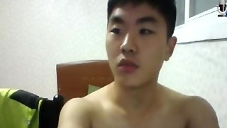 Korea Gay