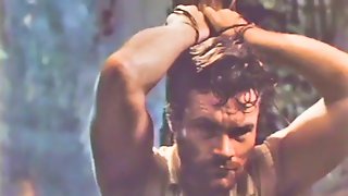 Kathy shower, the further adventures of