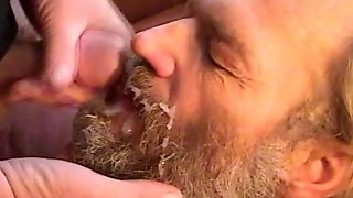 Older Gay Bear, Gay Cum In Mouth